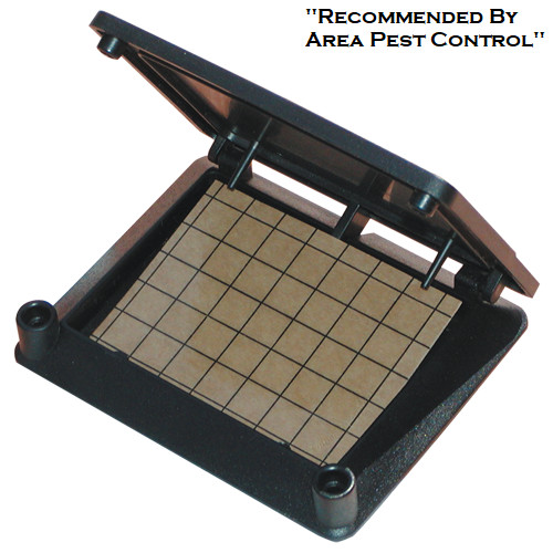 Insect monitor trap cockroach - monitor,