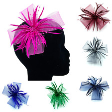 Ladies Feather Clip Fascinator