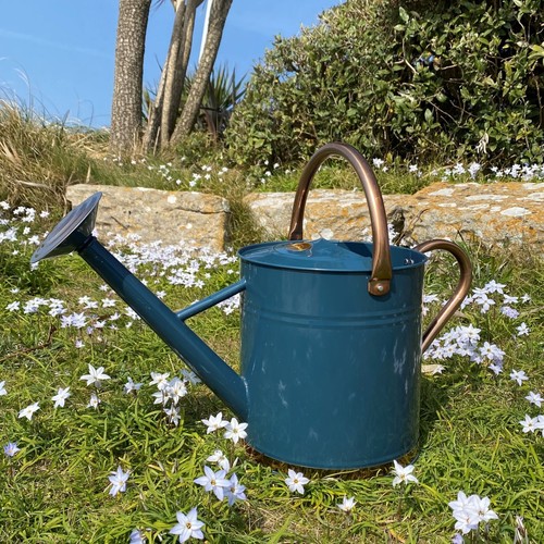 Watering can metal indoor - watering,
