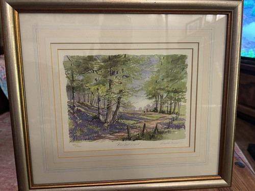 Bluebell wood stunning - ‘bluebell,
