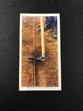 1938 Wills's Garden Hints #15