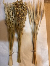 DRIED FLOWERS 'THREE NATURAL