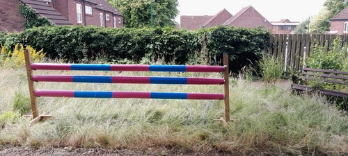Equestrian horse jump - equestrian, pole