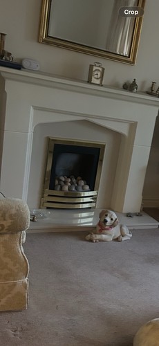 Moulded stone effect fire - effect,