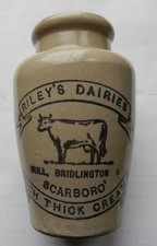 Riley dairies hull - riley's,