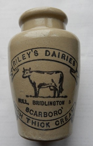 Riley dairies hull - dairies,