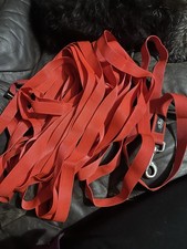 Red 12m Lunge Line / Dog Training Lead Nylon Webbing