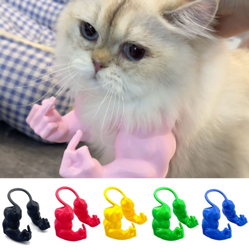 Funny finger cat muscle arms - cat,