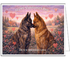 Dutch Shepherd in Love -