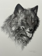 Carl Brenders “Black Wolf”