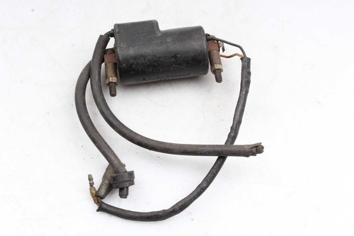 Ignition coil kawasaki 1000 - coil,