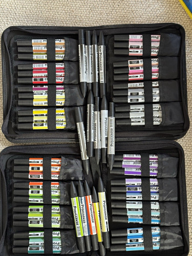 Letraset promarker pen set - set, in
