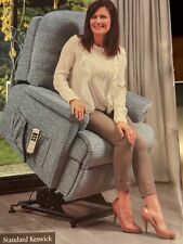 rise and recliner chair