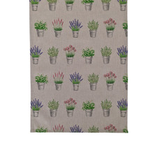 Plant Pots Flowers Floral