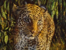 TONY FORREST 'LEOPARD' FRAMED ORIGINAL OIL ON BOARD SALE