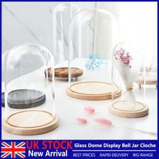 Glass Dome Display Bell Jar Cloche Wood Base Figure Action Storage Display Decor