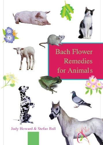 Bach flower remedies - bach,