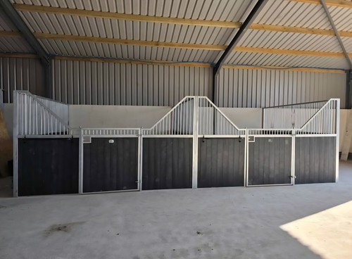 Internal horse stables built - horse,