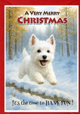 West Highland White Terrier /