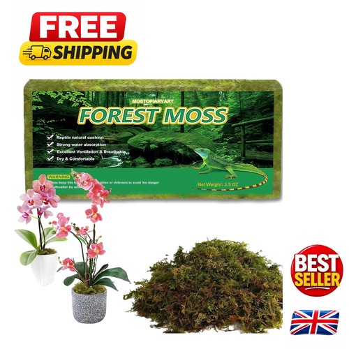 Versatile sphagnum moss - versatile, 5l