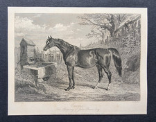Antique 1845 print - antique,