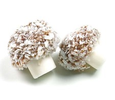 Coconut Mushrooms Wholesale