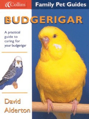 Budgerigar david alderton - budgerigar, alderton.