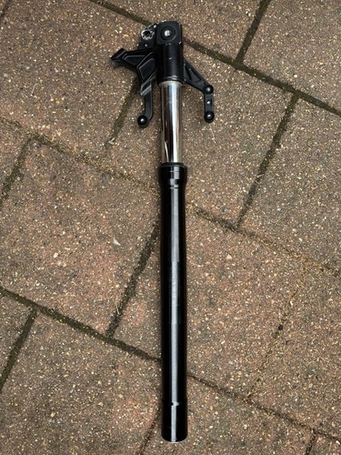 Left fork suspension - left,