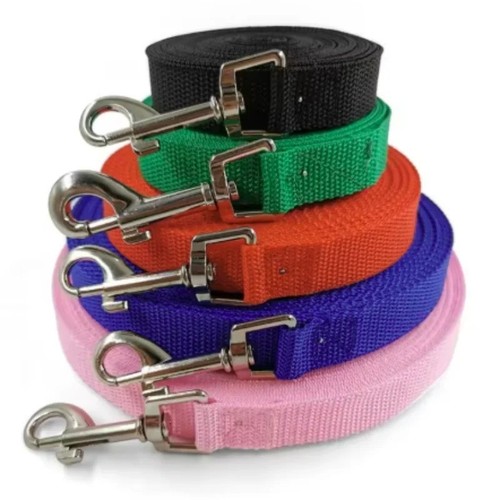Extra long dog training - dog, lead