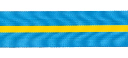 U14 hong kong service medal - kong,