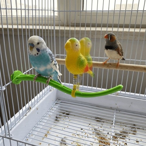 Spring wobble bird perch stand - wobble,