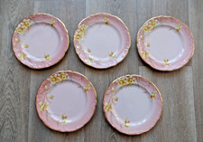 FIVE ANTIQUE AYNSLEY TEA SIDE PLATES DAFFODIL DESIGN RD NO 255280 DATED TO 1895