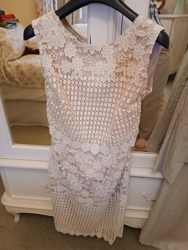 Precis petite dress blush - dress,