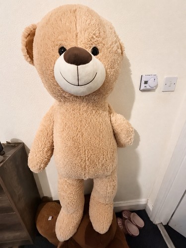 Large giant teddy bear beige - giant,