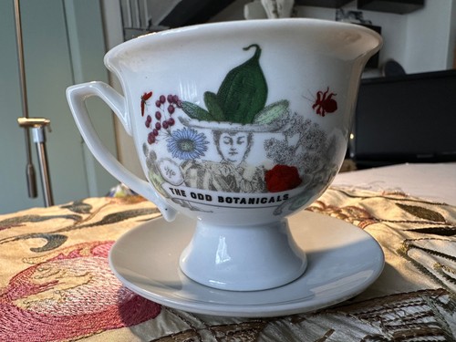 Hendricks gin cup and - gin,