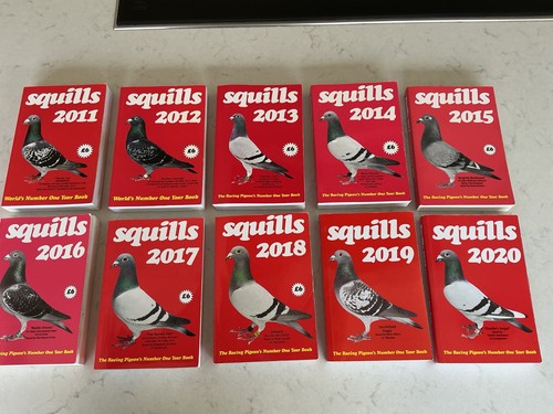 Squills international racing - international,