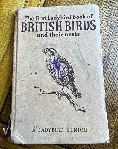 Vintage ladybird book - vintage,