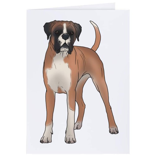 Standing boxer dog - 'standing,