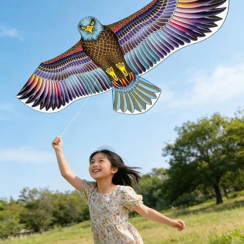 Anti bird flying hawk - hawk, kite