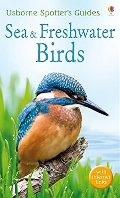 Sea and freshwater birds - sea,
