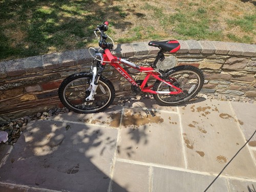 Carrera saruna 20in kids bike - 20in,