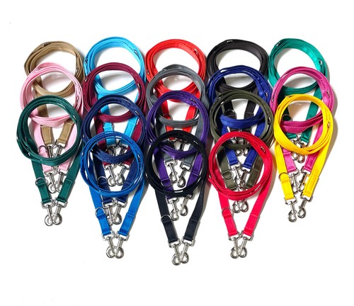 Police style dog - dog, lead