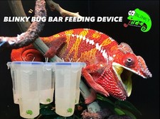 BLINKY CHAMELEON BUG BAR