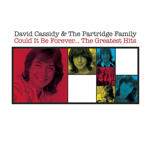 David cassidy and the - david,