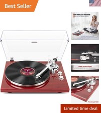 Belt Drive Turntable with