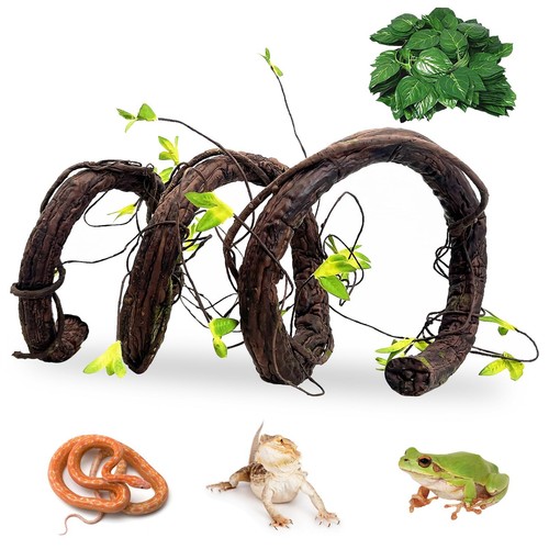 Vcepjh extra large reptile - large,