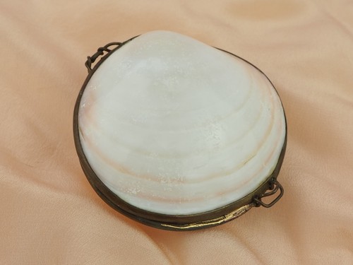 Victorian shell purse case - purse,
