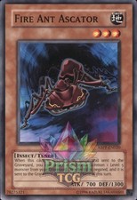 Fire Ant Ascator ABPF-EN020