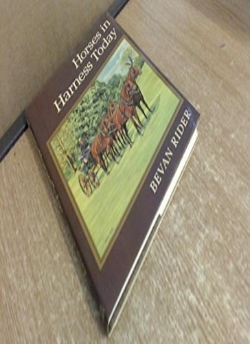 Horses harness today - horses,