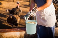 5L Strong Small Plastic Bucket with Handle pouring spout capacity marker Inside